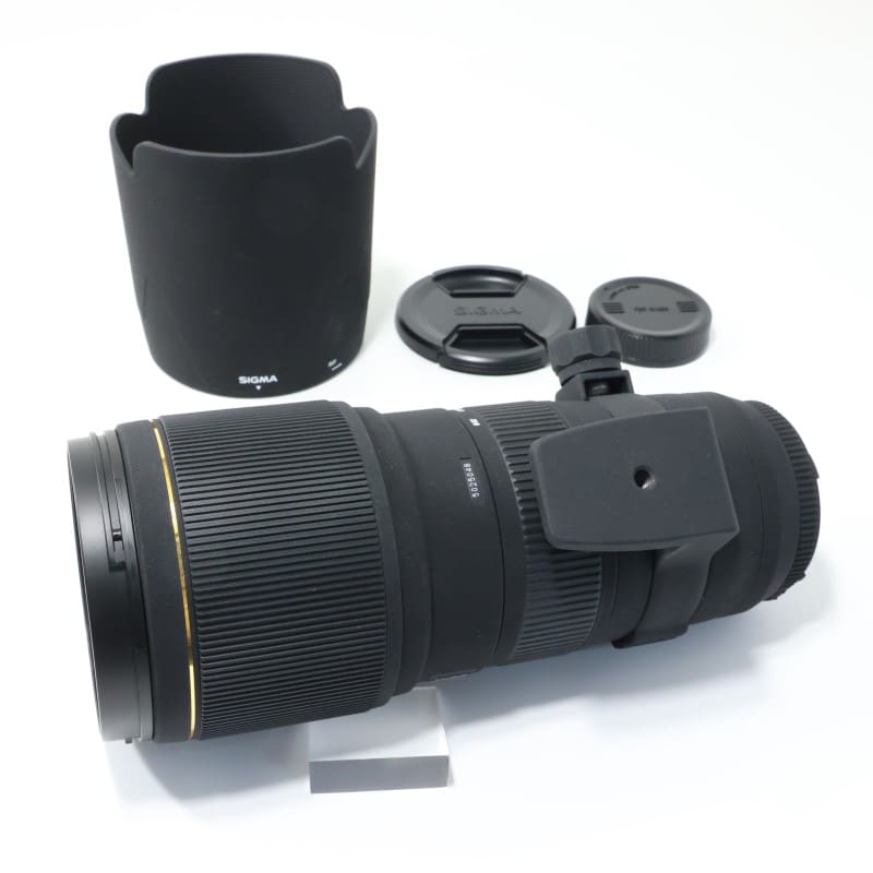 APO 100-300mm F4 EX DG HSM ニコン