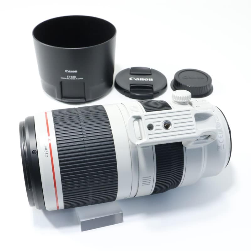 EF100-400mm F4.5-5.6L IS II USM