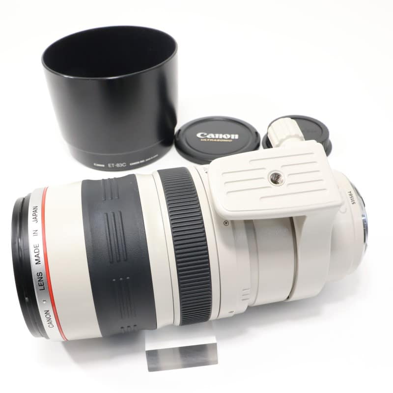 EF 100-400mm F4.5-5.6 L IS USM