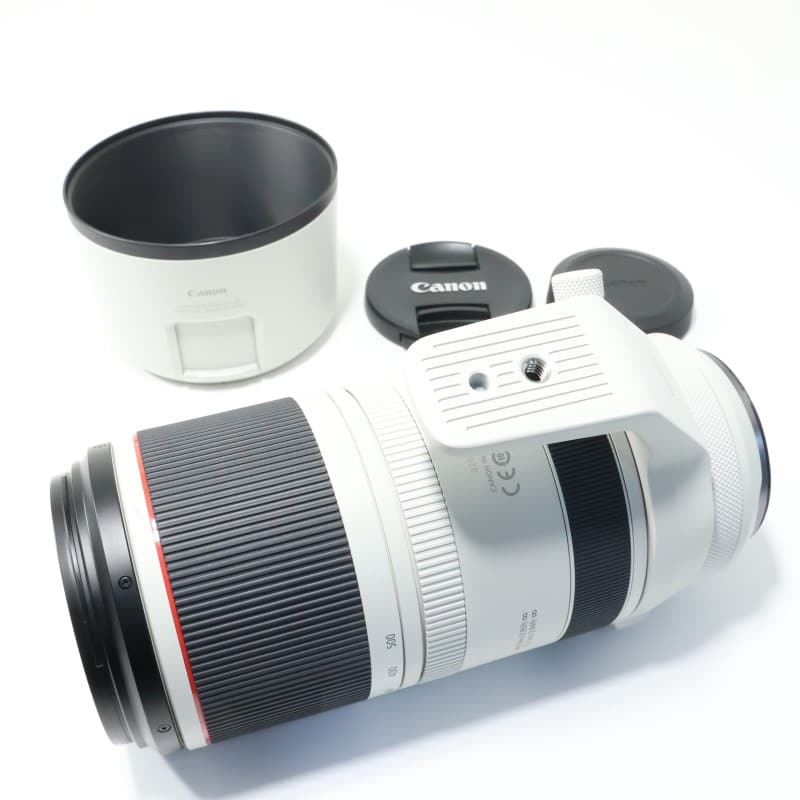 RF100-500mm F4.5-7.1 L IS USM