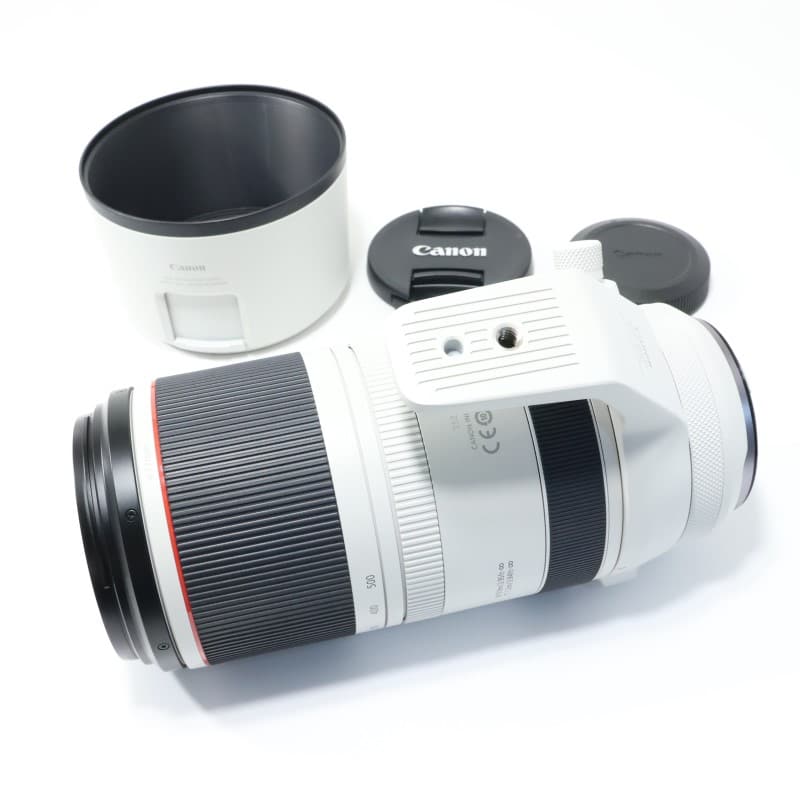 RF100-500mm F4.5-7.1 L IS USM