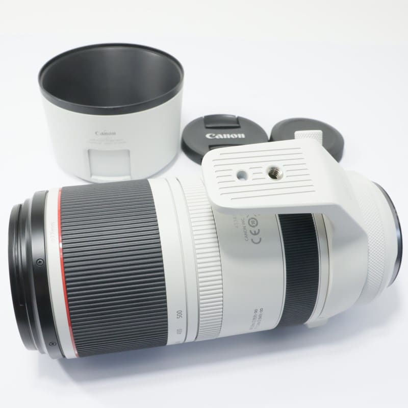 RF100-500mm F4.5-7.1 L IS USM