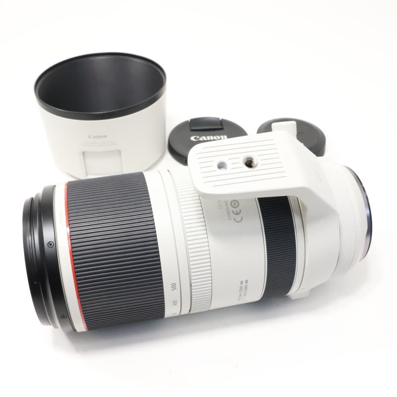 RF100-500mm F4.5-7.1 L IS USM