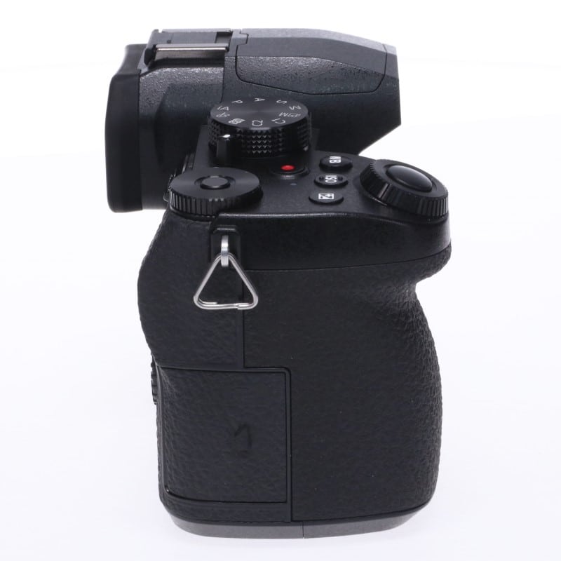 LUMIX G99 DC-G99