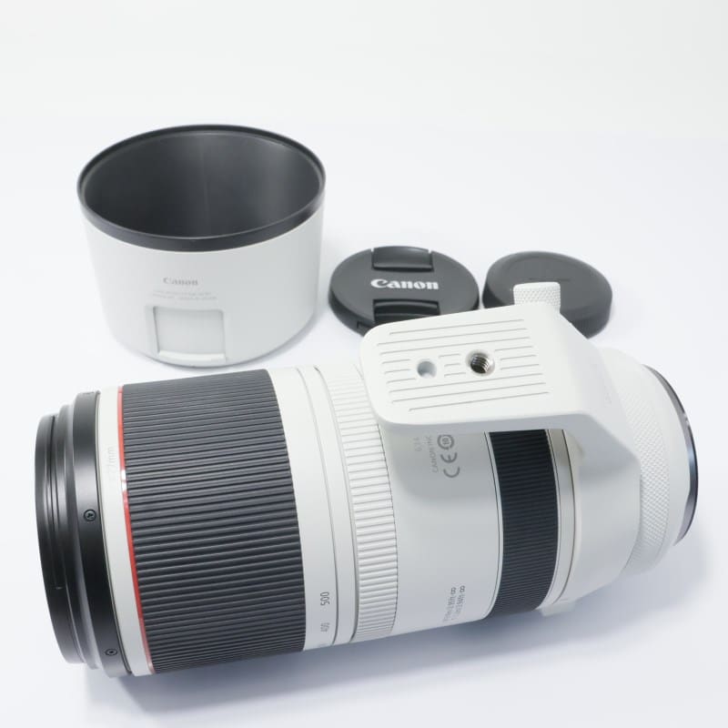 RF100-500mm F4.5-7.1 L IS USM