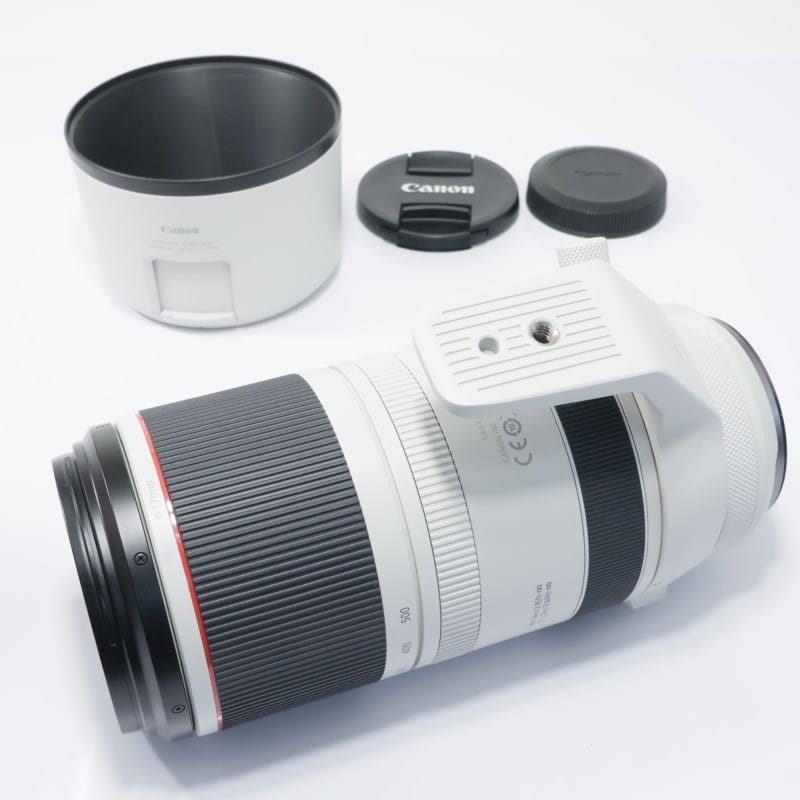 RF100-500mm F4.5-7.1 L IS USM