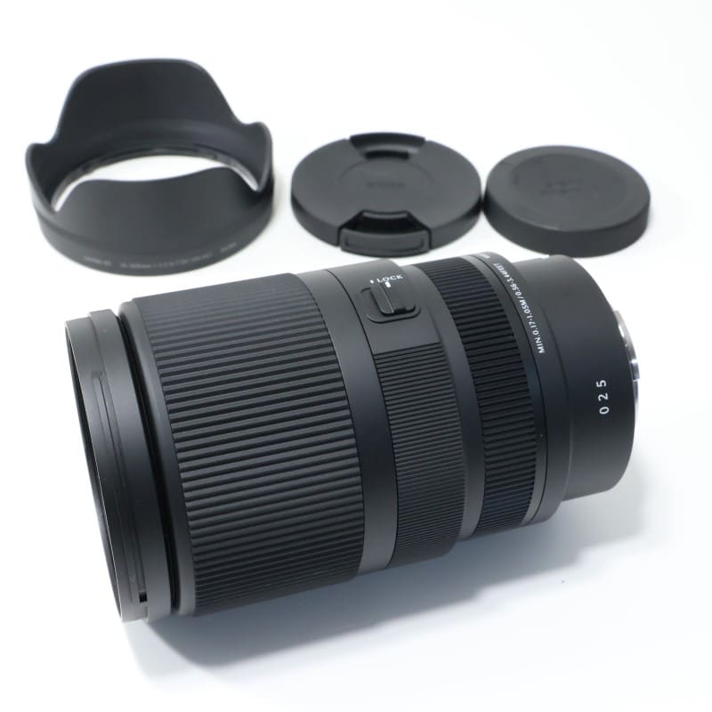 Sigma 16-300mm F3.5-6.7 DC OS | Contemporary ソニーE