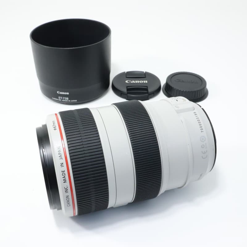 EF 70-300mm F4-5.6 L IS USM