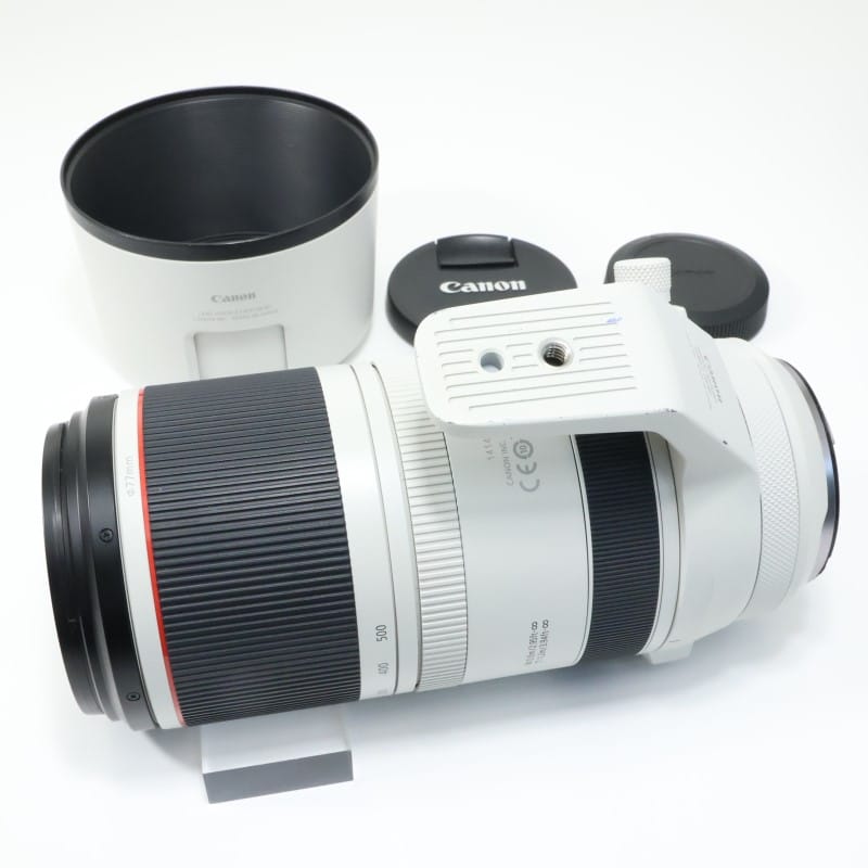 RF100-500mm F4.5-7.1 L IS USM