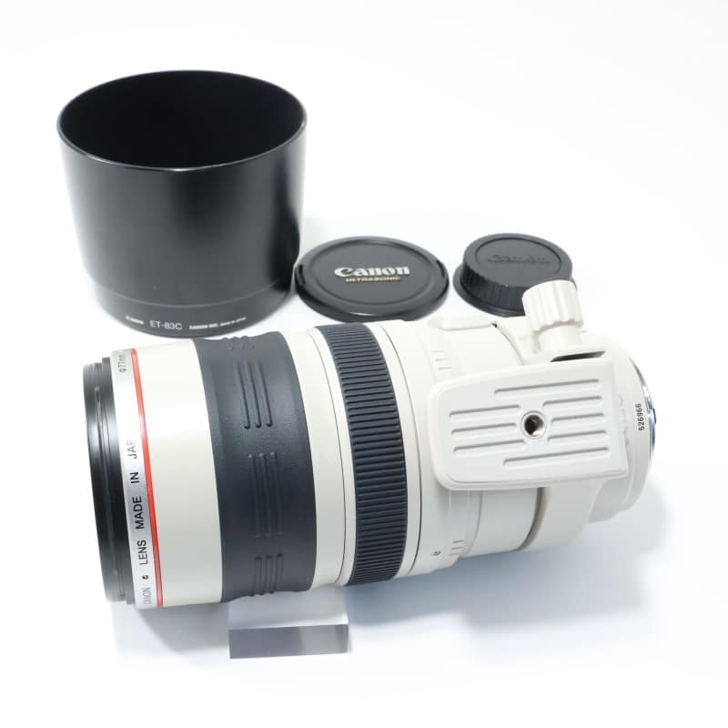 EF 100-400mm F4.5-5.6 L IS USM