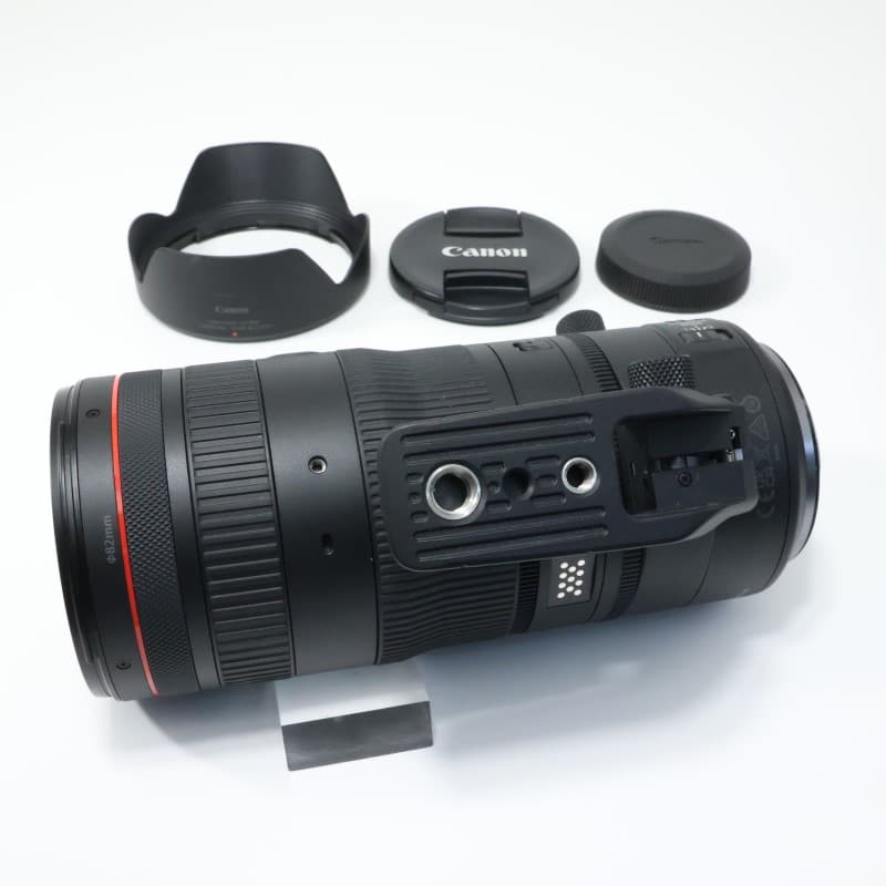 RF24-105mm F2.8 L IS USM Z
