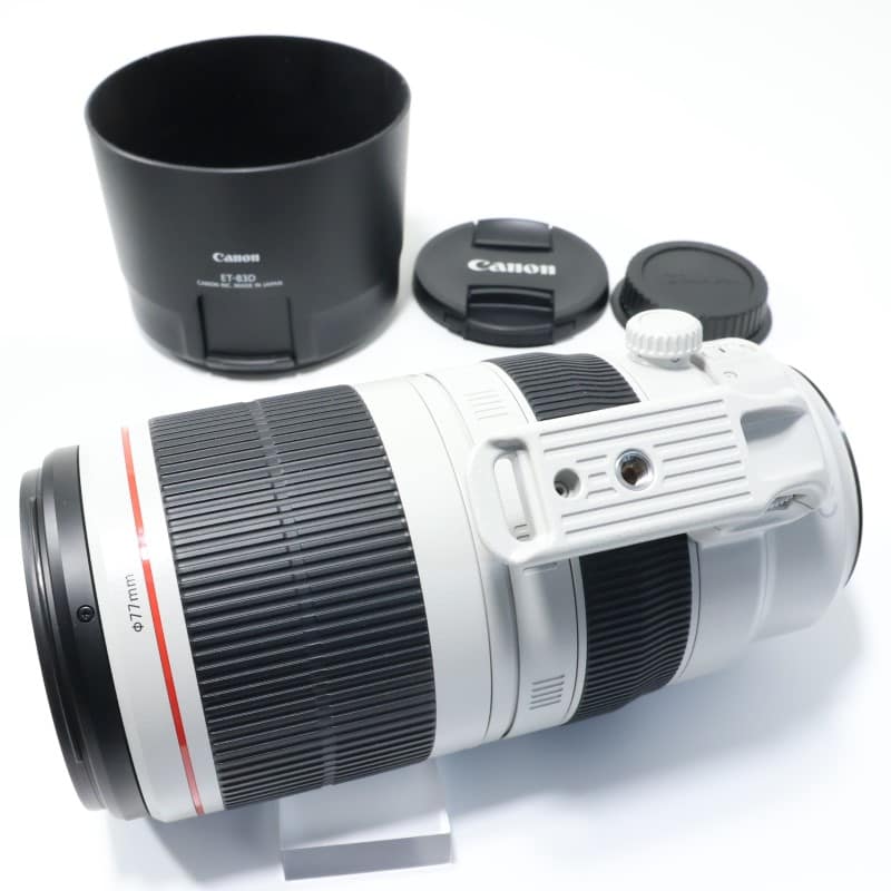 EF100-400mm F4.5-5.6L IS II USM