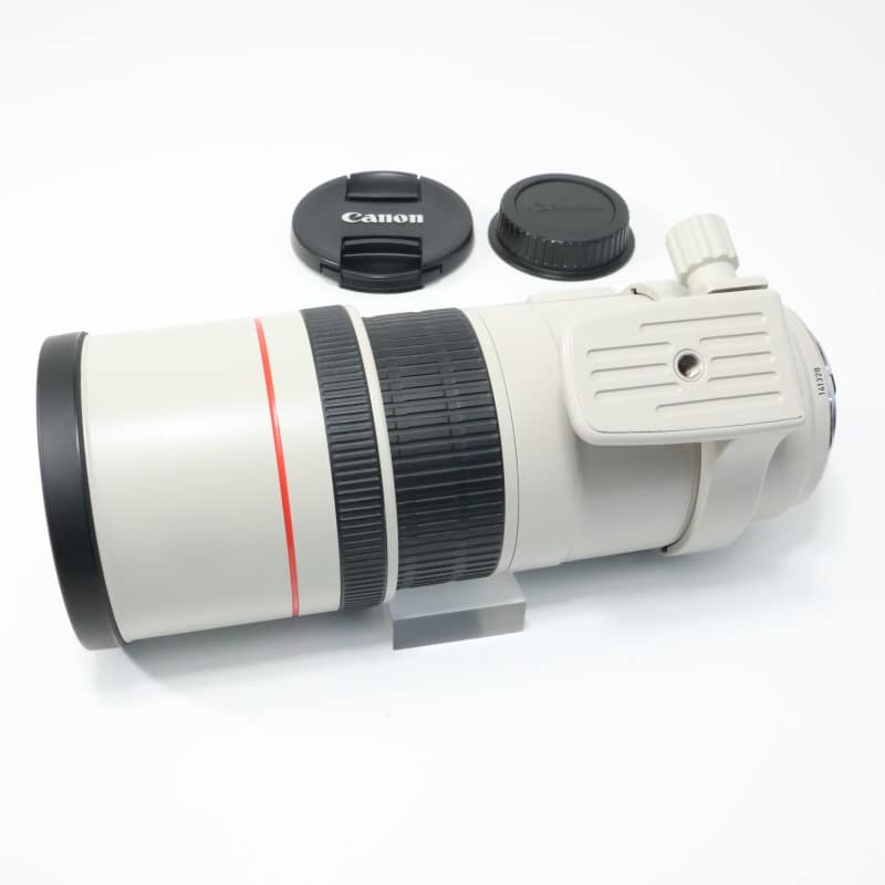 EF 300mm F4 L IS USM