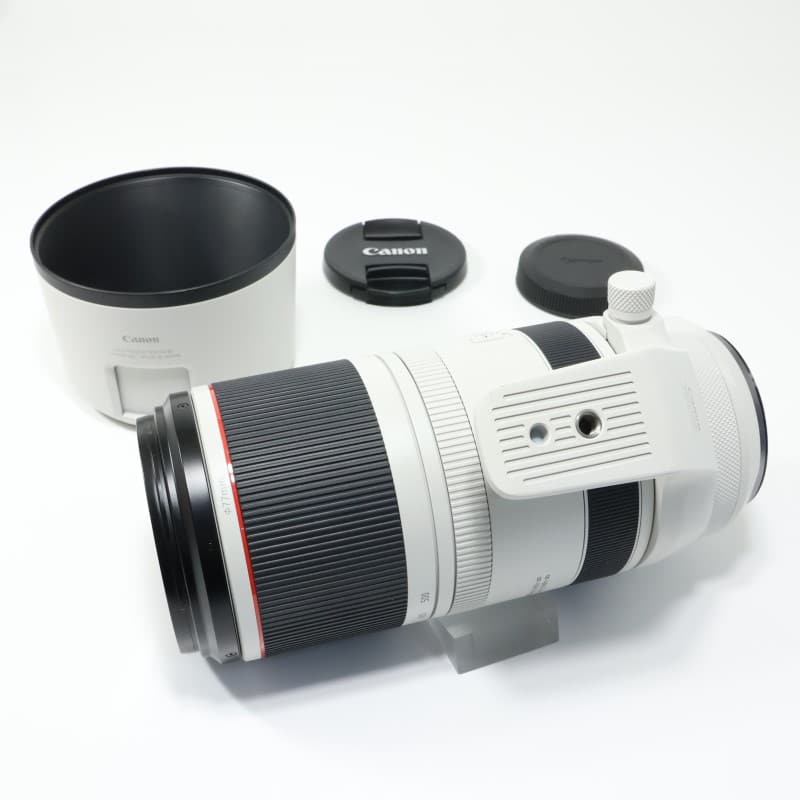 RF100-500mm F4.5-7.1 L IS USM