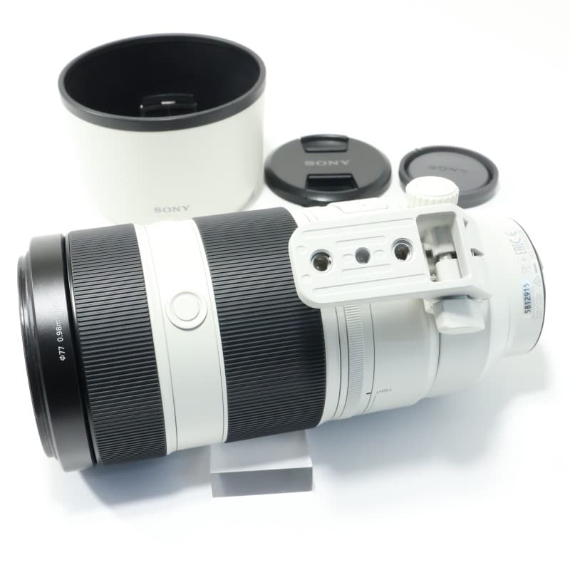 FE 100-400mm F4.5-5.6 GM OSS SEL100400GM
