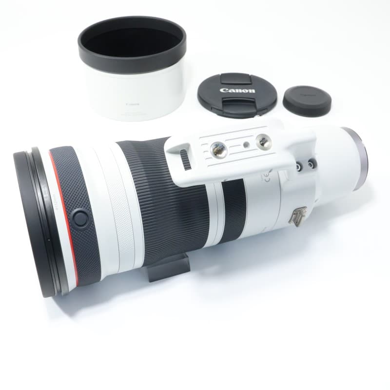 RF100-300mm F2.8 L IS USM