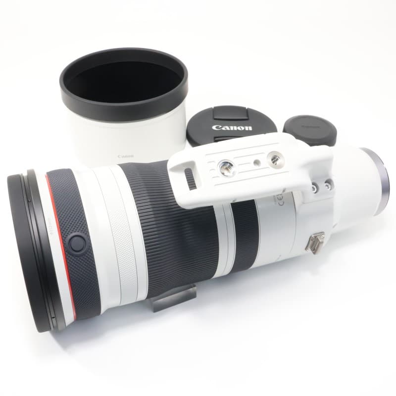 RF100-300mm F2.8 L IS USM