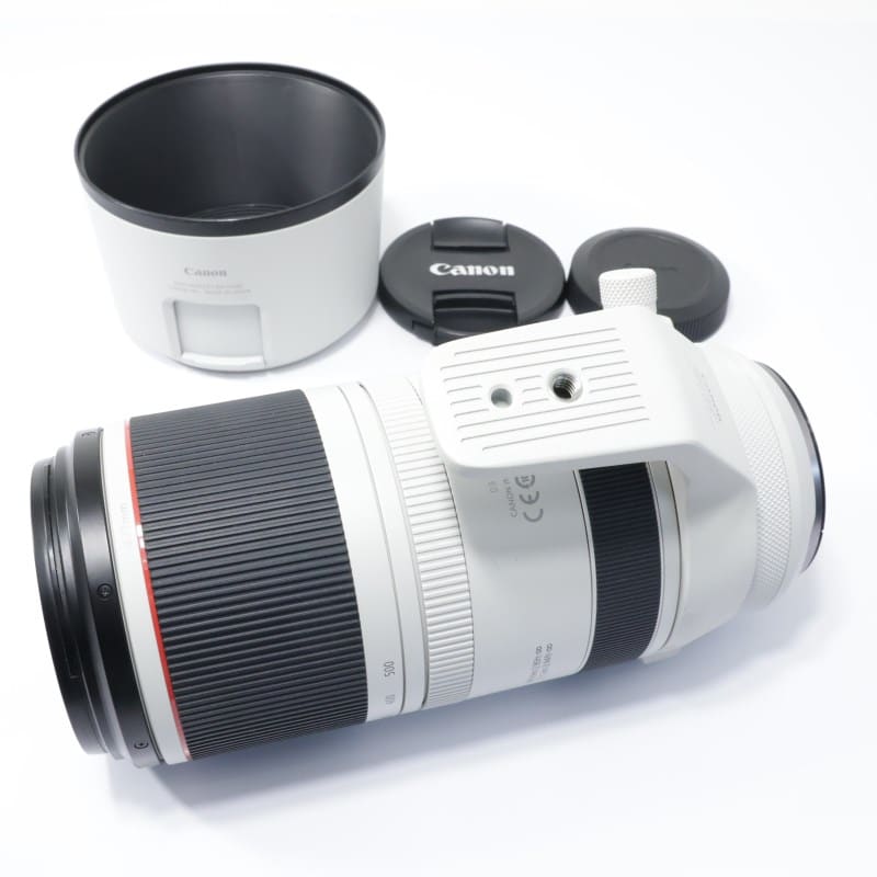RF100-500mm F4.5-7.1 L IS USM