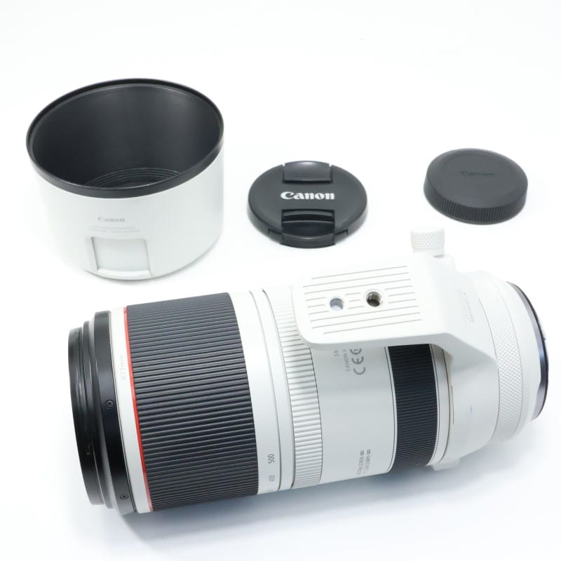 RF100-500mm F4.5-7.1 L IS USM