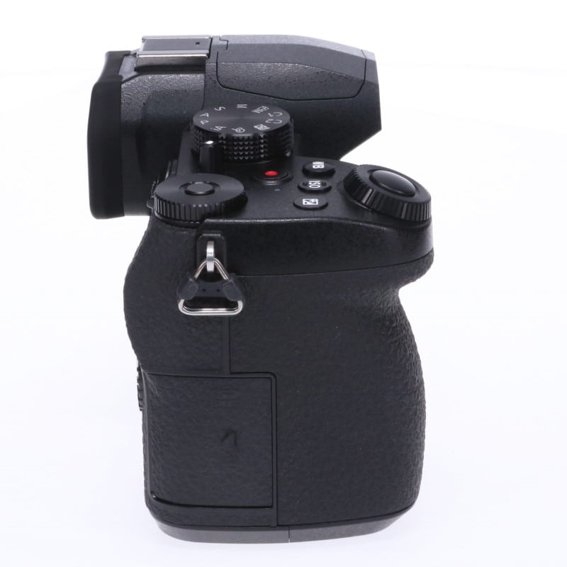 LUMIX G99 DC-G99