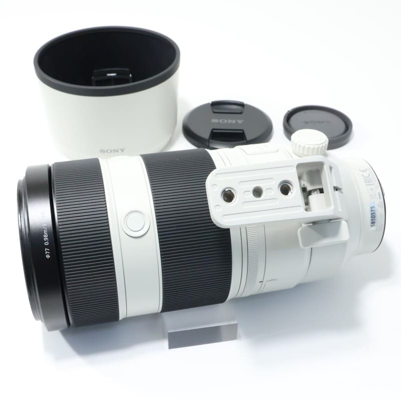 FE 100-400mm F4.5-5.6 GM OSS SEL100400GM