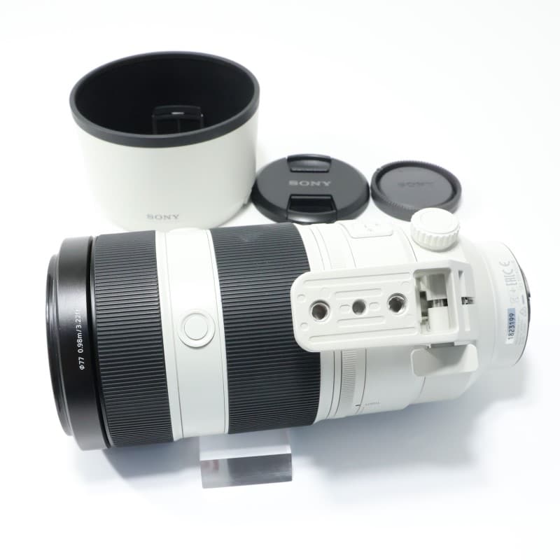 FE 100-400mm F4.5-5.6 GM OSS SEL100400GM