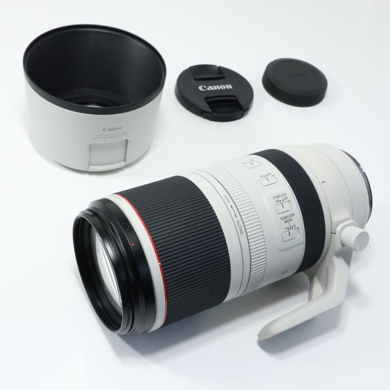RF100-500mm F4.5-7.1 L IS USM