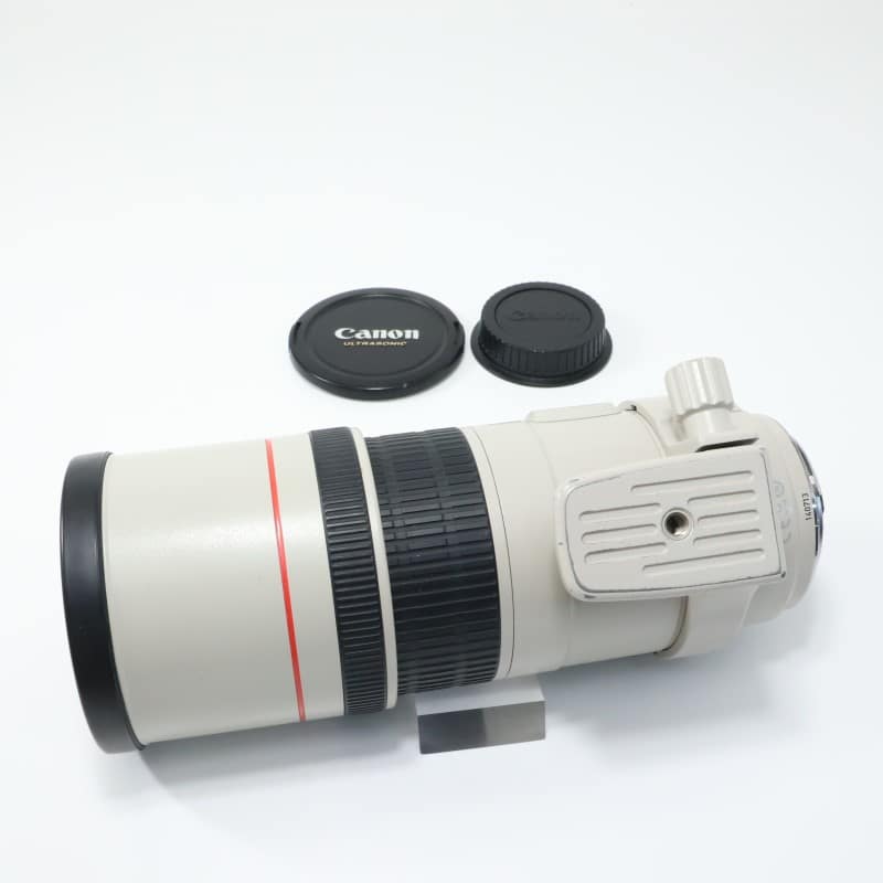 EF 300mm F4 L IS USM