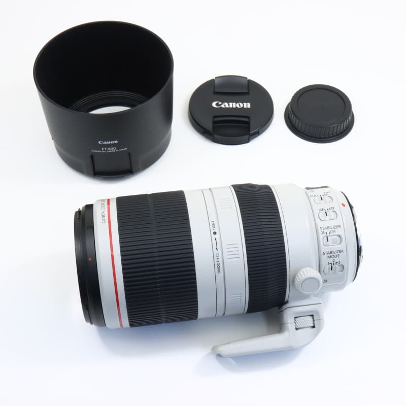 EF100-400mm F4.5-5.6L IS II USM