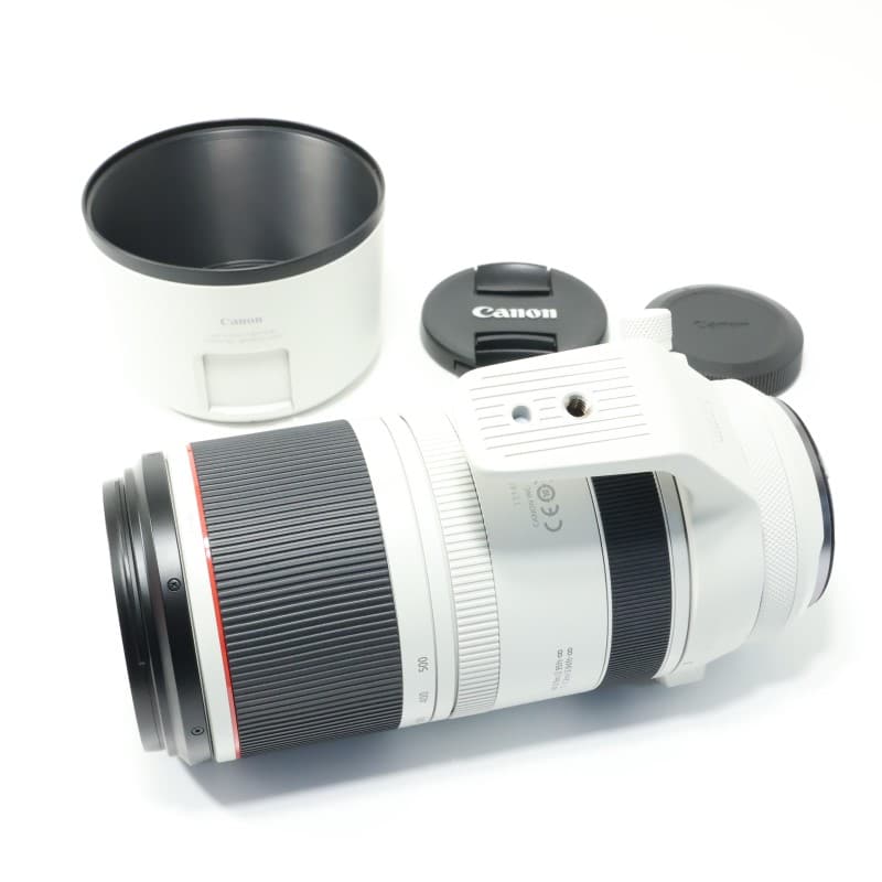 RF100-500mm F4.5-7.1 L IS USM