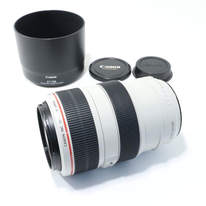 EF 70-300mm F4-5.6 L IS USM