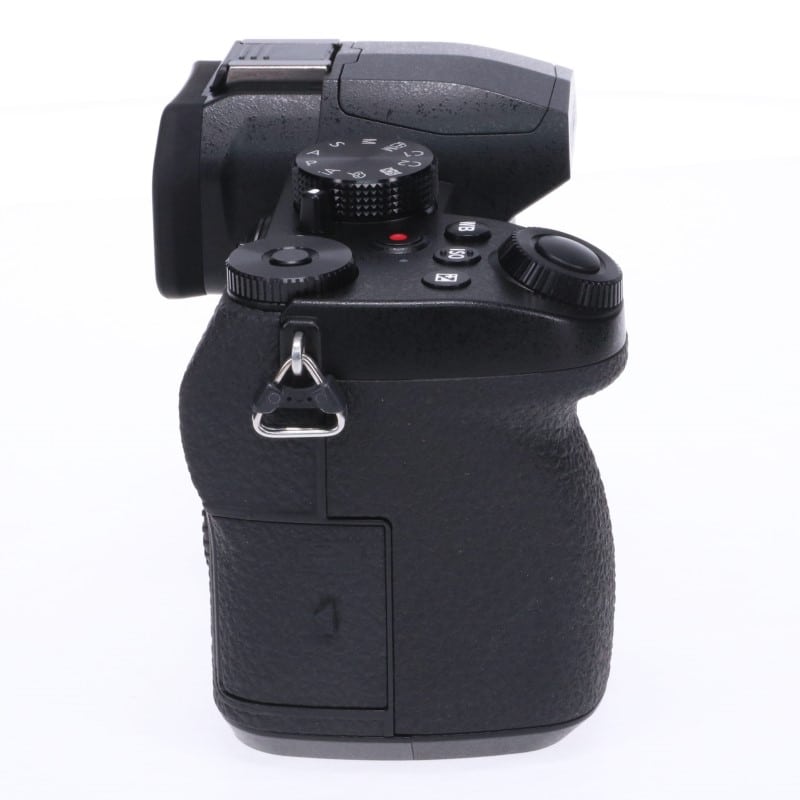 LUMIX G99 DC-G99