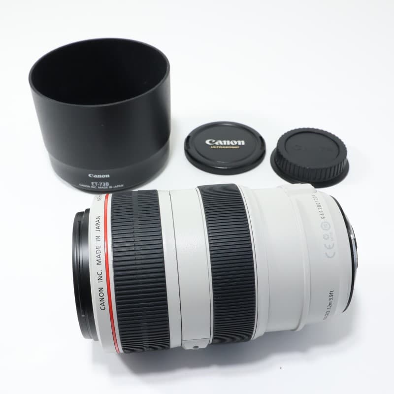 EF 70-300mm F4-5.6 L IS USM