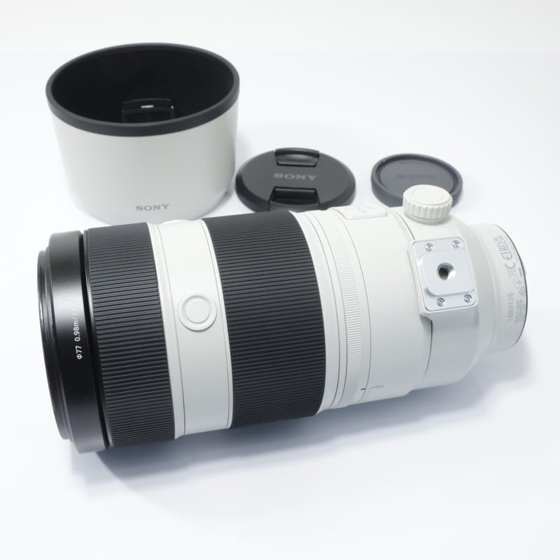 FE 100-400mm F4.5-5.6 GM OSS SEL100400GM