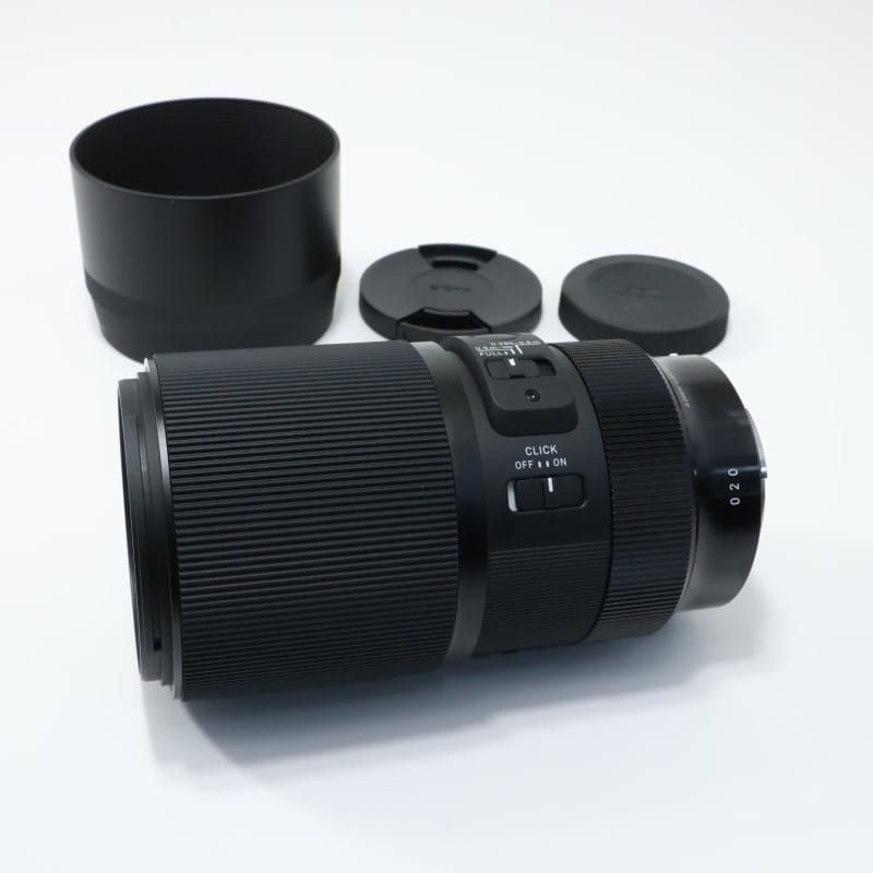 105mm F2.8 DG DN MACRO Art ソニーE