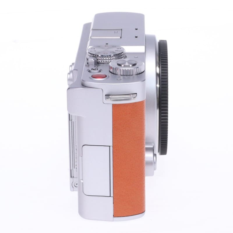 LUMIX S9 ボディのみ ライトシルバー(キャメルオレンジ)