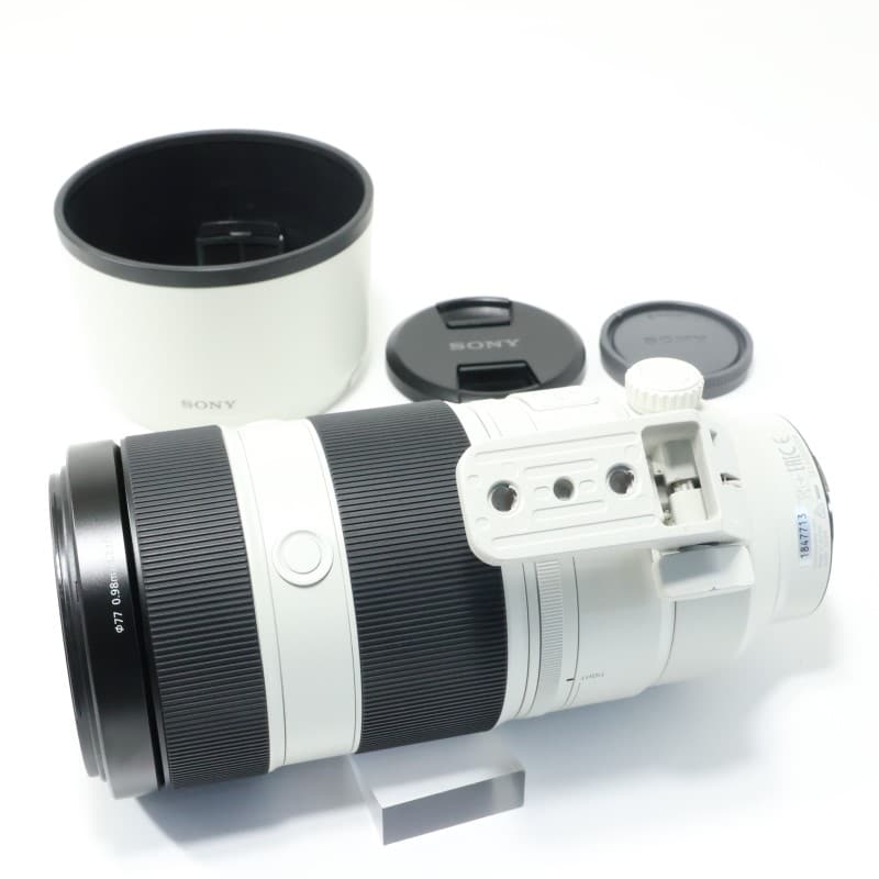 FE 100-400mm F4.5-5.6 GM OSS SEL100400GM