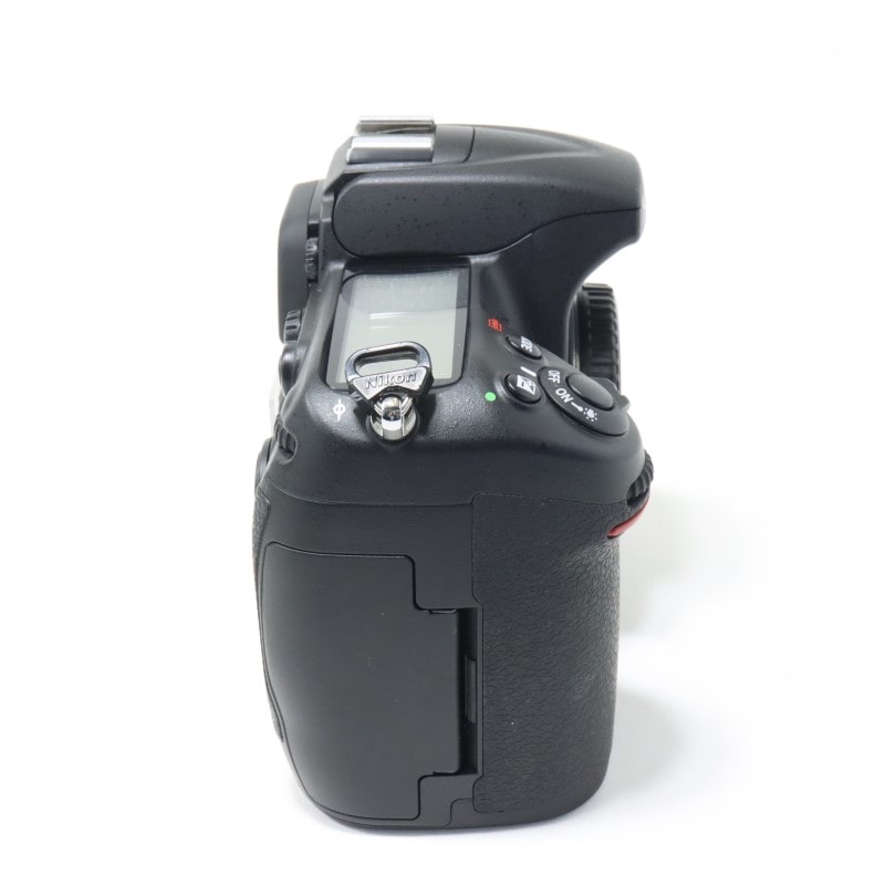D300