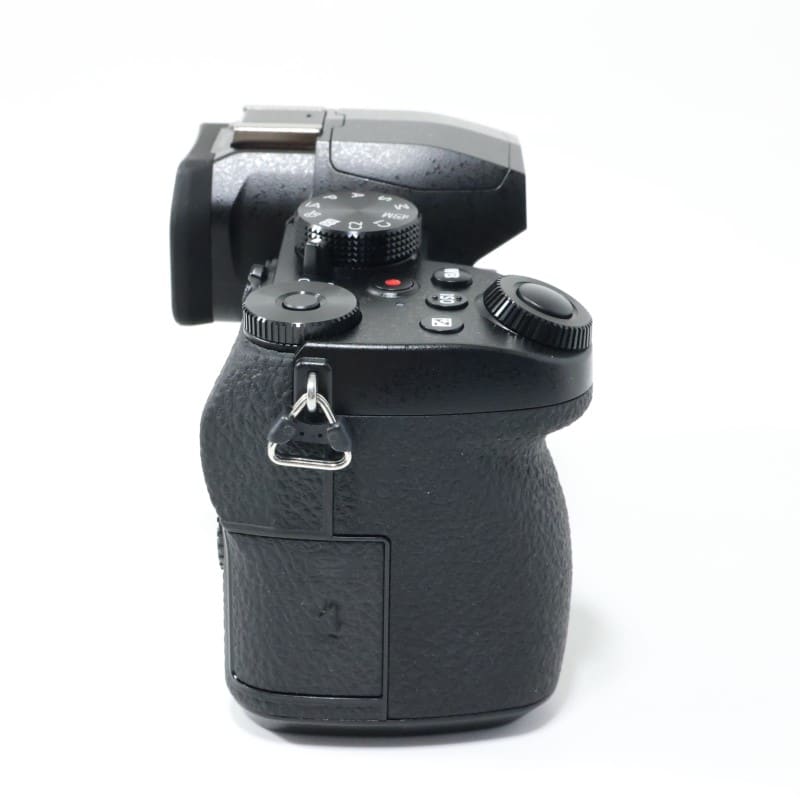 LUMIX G99D ボディ DC-G99D-K