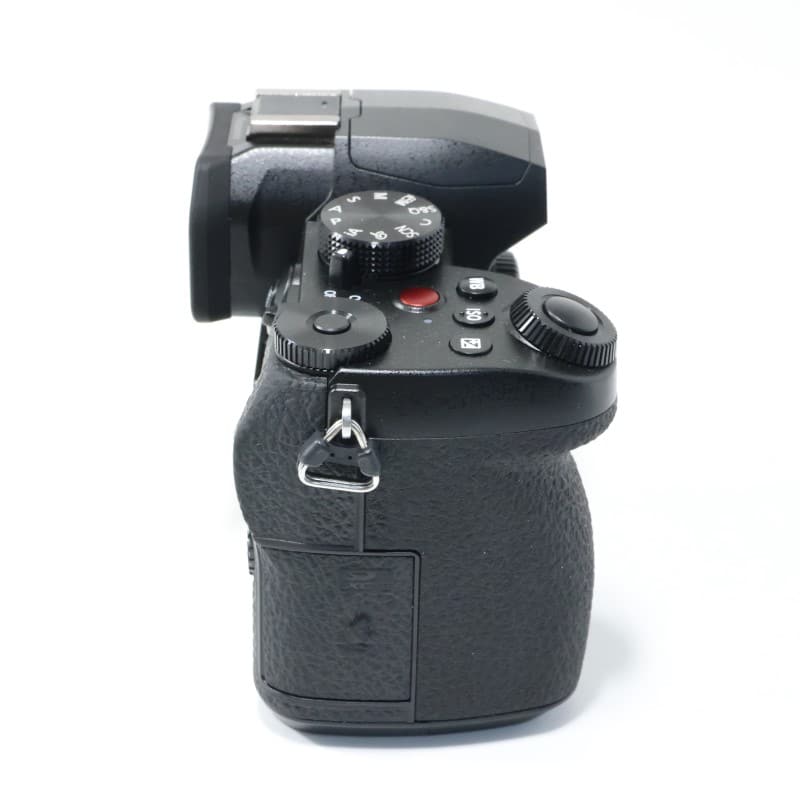 LUMIX G99II ボディ DC-G99M2