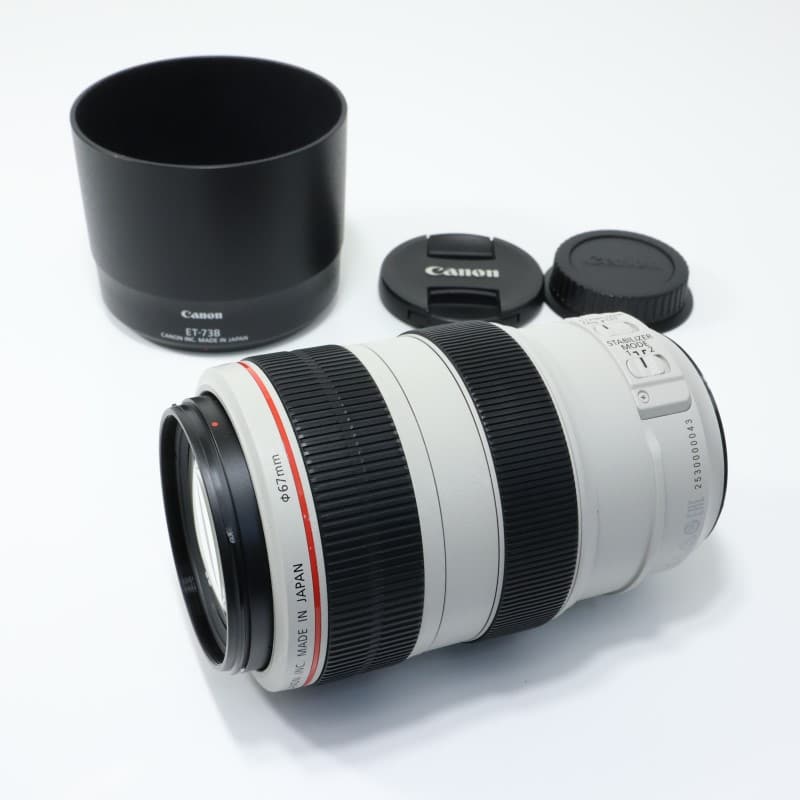 EF 70-300mm F4-5.6 L IS USM
