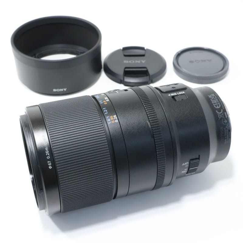 FE 100mm F2.8 Macro GM OSS SEL100M28GM