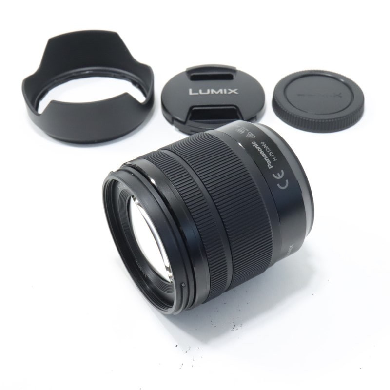 LUMIX G VARIO 12-60mm/F3.5-5.6 ASPH./POWER O.I.S. H-FS12060