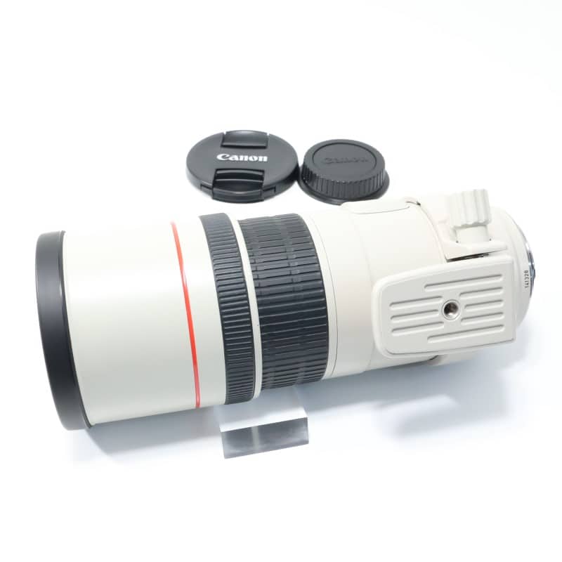EF 300mm F4 L IS USM