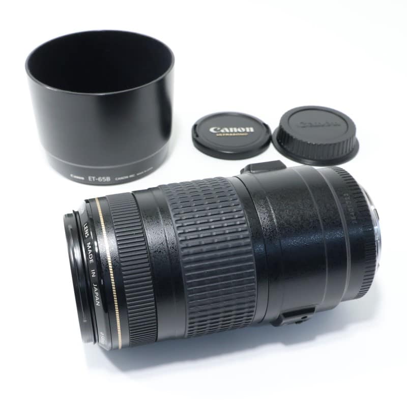 EF 70-300mm F4-5.6 IS USM