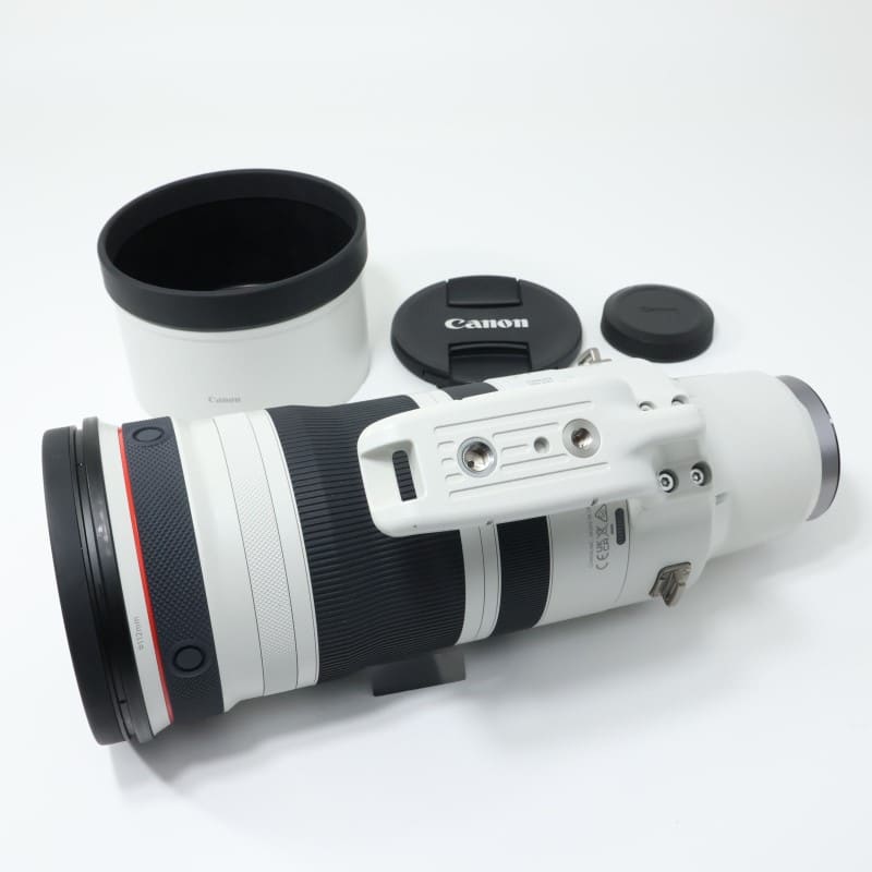 RF100-300mm F2.8 L IS USM
