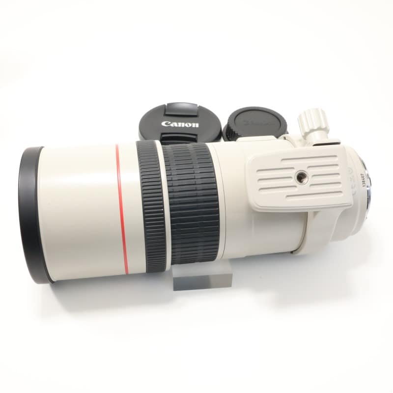 EF 300mm F4 L IS USM
