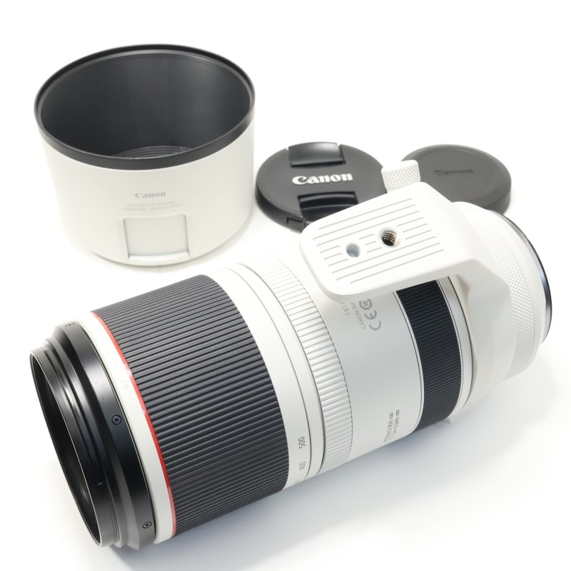 RF100-500mm F4.5-7.1 L IS USM