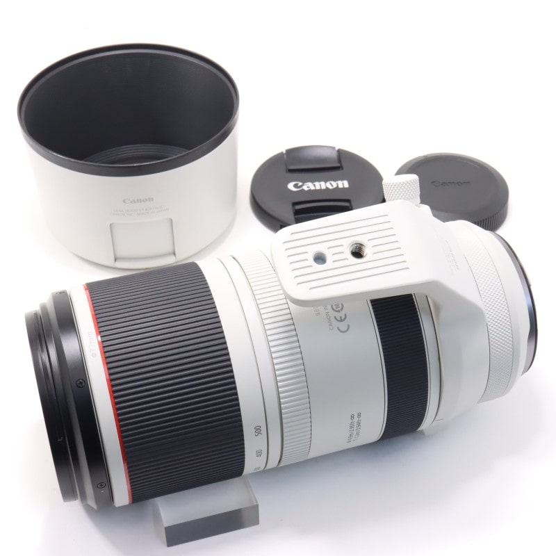 RF100-500mm F4.5-7.1 L IS USM