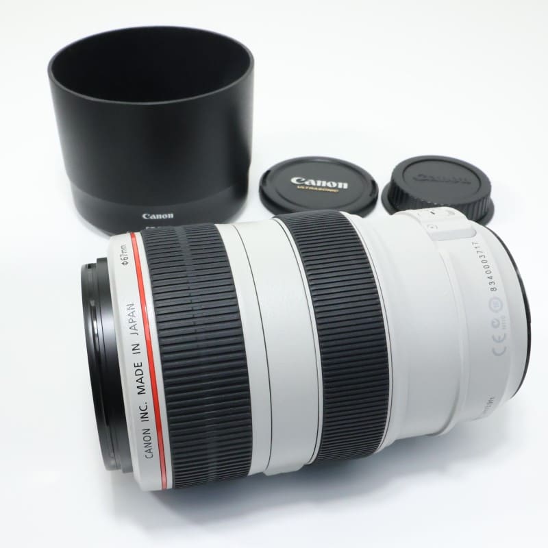EF 70-300mm F4-5.6 L IS USM